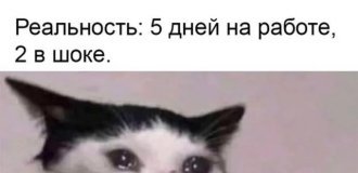 Лучшие шутки и мемы из Сети. Выпуск 693 (171 картинок)
