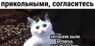 Лучшие шутки и мемы из Сети. Выпуск 612