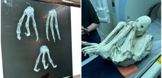 Обнаружены две новые эксклюзивные мумии "инопланетян" из Перу (12 фото)