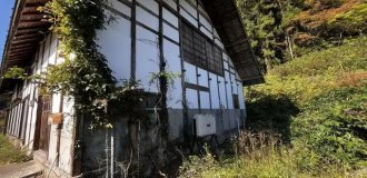 In Japan, a house with a plot and blooming sakura has been put up for sale for only 3 thousand dollars (4 photos)