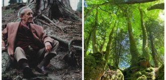 Пазлвуд – лес, который мог вдохновить Толкина на создание Средиземья (25 фото)