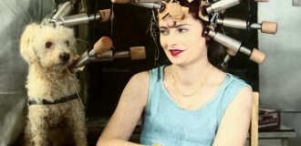 Подборка смешных и забавных фотографий с собаками, которые поднимут настроение (21 фото)