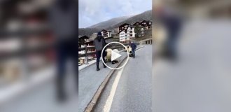 Животные (короткие видео). Выпуск 101