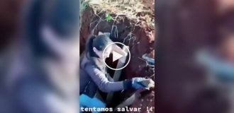 Спасение, радость и неожиданное продолжение