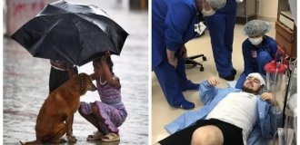 15 touching photos that speak louder than words (16 photos)