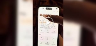 Телефон для кошек