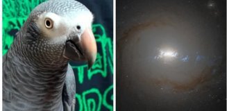 10 фактов, которые меняют видение привычной реальности (11 фото)