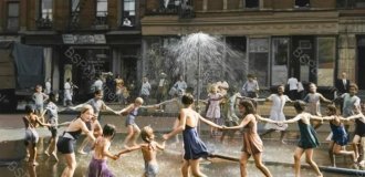 A selection of interesting and unusual photos from the USA (21 photos)