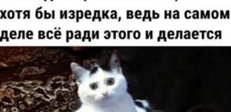 Лучшие шутки и мемы из Сети. Выпуск 721 (38 картинок)