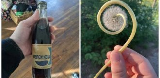Жизнь полна сюрпризов! 22 неожиданные находки, которые вызвали массу эмоций (23 фото)