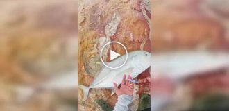 Рыбак хотел отпустить улов, но все пошло не по плану