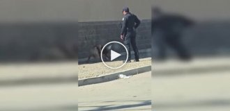 A policeman met a girl in an inadequate state on the side of the road
