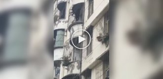Bear filmed climbing a residential building in China