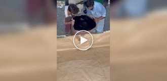 На видео показали процесс изготовления черного пенополиуретана