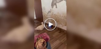 Что происходит в этом доме