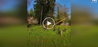 Пожежники врятували парапланериста, який застряг на дереві