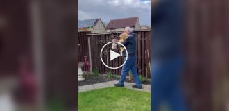 A man gives his cat's fur to birds