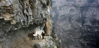 В пути за знаниями (25 фото)