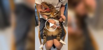 «Котозавру» стригут когти