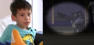 В США койот напал на 6-летнего мальчика во время матча (5 фото + 1 видео)