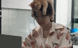 Классные гифки. Выпуск 2732