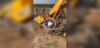 An excavator operator saved an excavator from sinking into a swamp