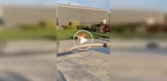 Практически идеальная собака, осталось только научить ее закрывать дверь