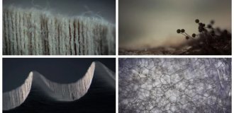 25 Stunning Macrophotographs of Everyday Objects (26 photos)