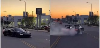 Когда 789 лошадей встречаются с 1 идиотом (9 фото + 2 видео)