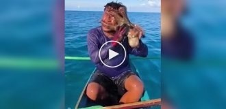 Осьминог вцепился в лицо рыбаку