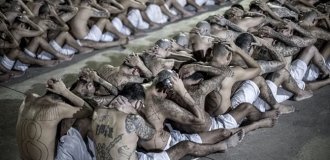 Крепость строгого режима: экскурсия по сальвадорской тюрьме для опасных преступников (10 фото + 3 видео)