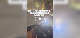 Робопес заговорил с полицейским с индийским акцентом