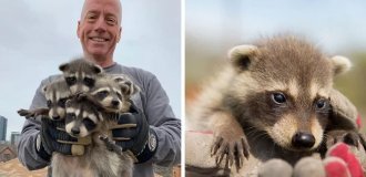 This company for catching wild animals has earned praise for its humane decisions (23 photos)