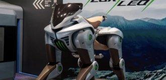 Кибер лошадь (2 фото + видео)