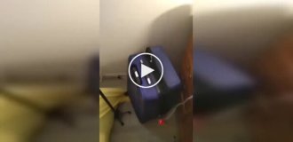 Разыскиваемая женщина выбрала очень необычное место для укрытия