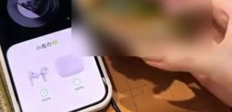 На маркетплейсах знайшли найкращий кейс для навушників (5 фото + відео)