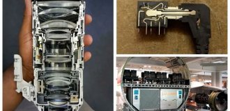 Have You Ever Wondered What the Inside of These Objects Look Like? (31 photos)