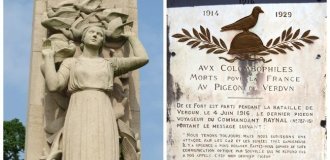 Touching monument to nameless feathered heroes (7 photos)