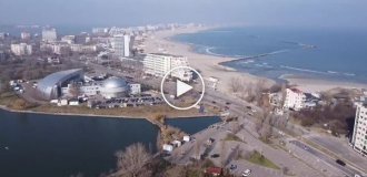 A seagull crashed into a drone in Romania