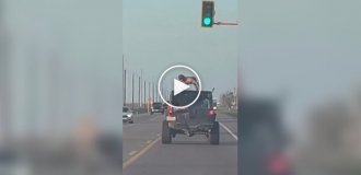 Тупиковая ветвь эволюции