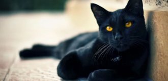 Most Popular Superstitions and Their Origins (11 photos)