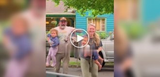 Родители приехали за детьми к бабушке и дедушке
