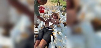 Уткотерапия во Вьетнаме