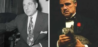 История Фрэнка Костелло, ставшего прообразом Крестного отца дона Вито Корлеоне (10 фото)