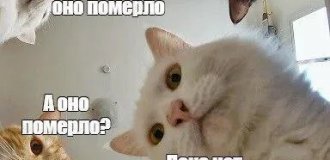 Лучшие шутки и мемы из Сети. Выпуск 705 (122 картинок)