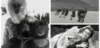 Бездомний Джим Керрі у 12 років: 30 фотографій, які говорять самі за себе (31 фото)