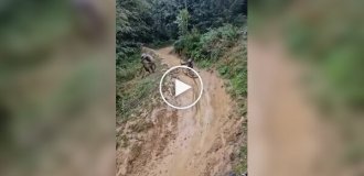 Гонки на велосипедах. Или на чем получится