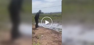 Схватка со змеей