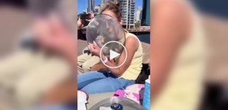 В Австралии показали, как кафе борются с воришками чайками