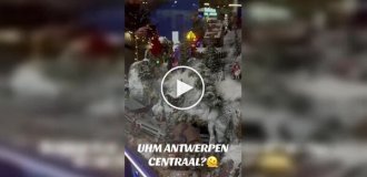 Маленькие тайны большого вокзала